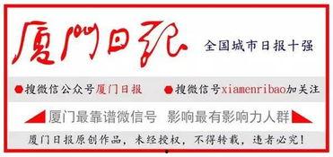 爆料厦门今日头条,揭秘岛城最新动态，热点事件一网打尽！”  第2张