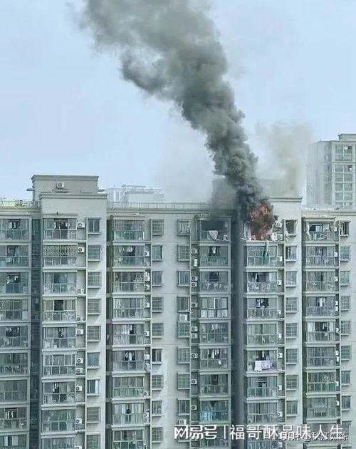 杭州临平爆料事件最新情况,最新进展揭示惊人内幕  第3张